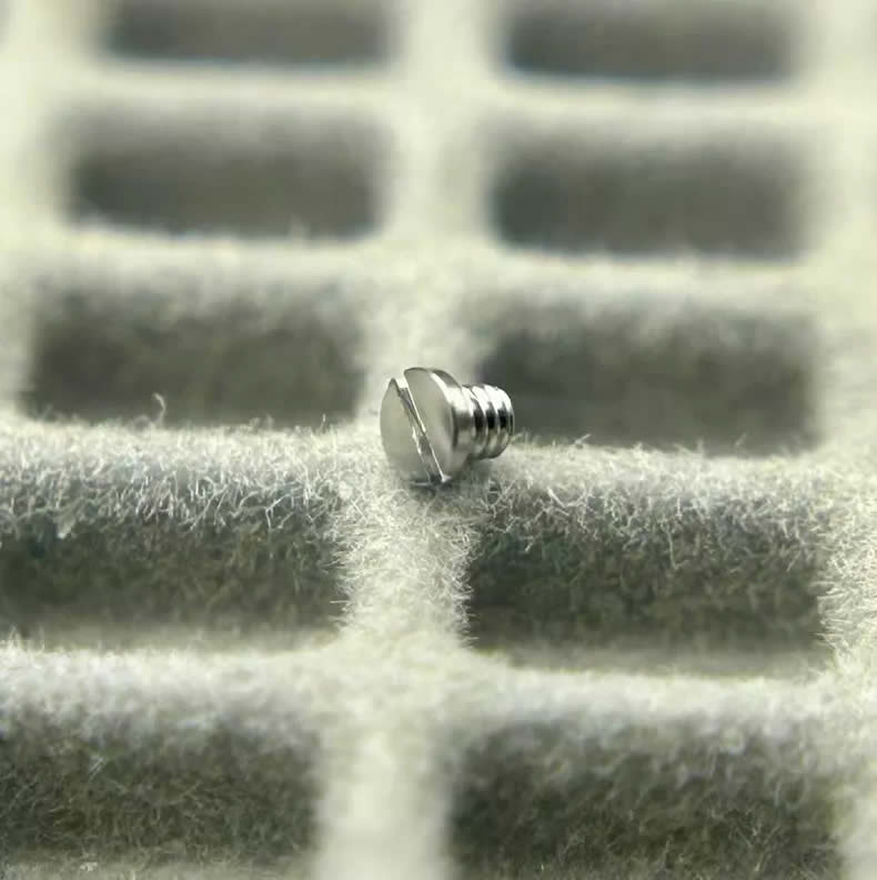 Screws on the back of all Roger Dubuis watch buckles