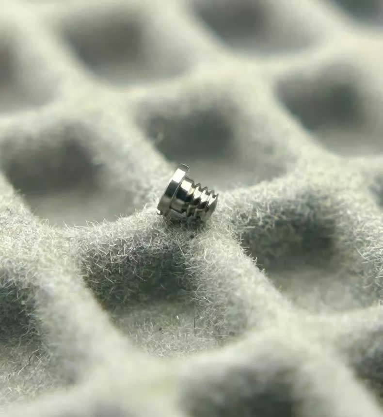 Screws on the back of all Roger Dubuis watch buckles