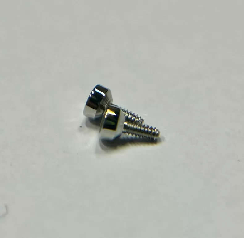 Chopard Racing Series 8568 Watch Case Back Screw (Hex)