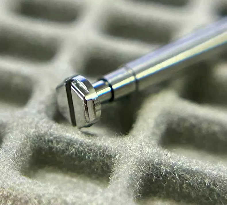 Hex Screws for Strap Attachments on the Entire Roger Dubuis 