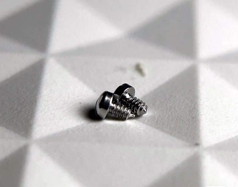 Ebel Watch Bezel Screws (All Series)