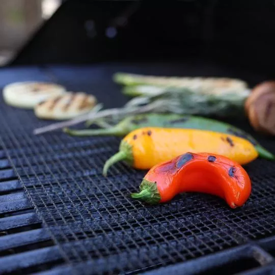 Non-stick BBQ Grill Mesh Mat-Grand Kitchen