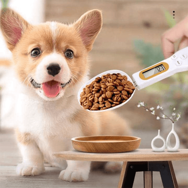 Detachable Electronic Measuring Spoon-Grand Kitchen