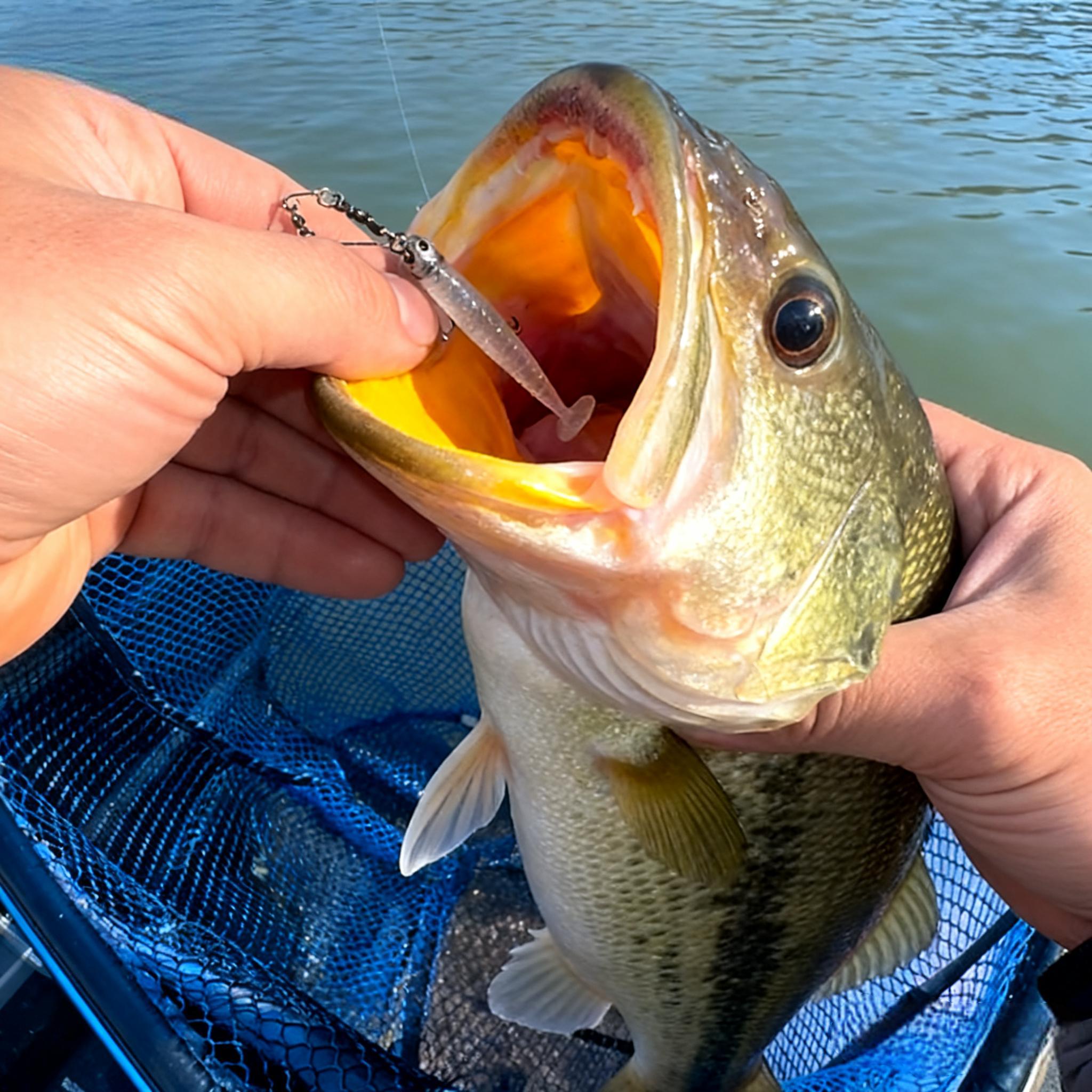 🎣Mini Multi-Arm Baitfish School Rig – Handcrafted Alabama-Style Fishing Lure