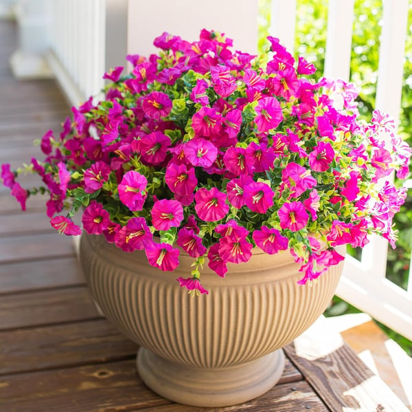 ✨UV Simulation Artificial Petunias