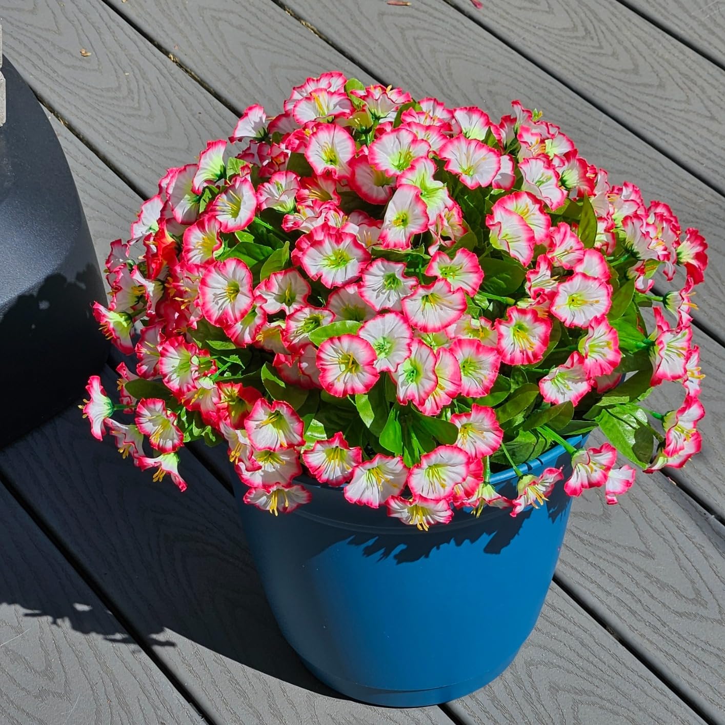 ✨UV Simulation Artificial Petunias