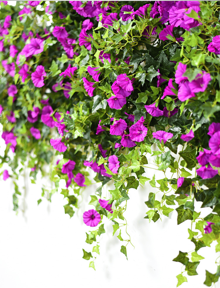 💐2026 Hot Sale✨UV Simulation Artificial Morning Glory Hanging