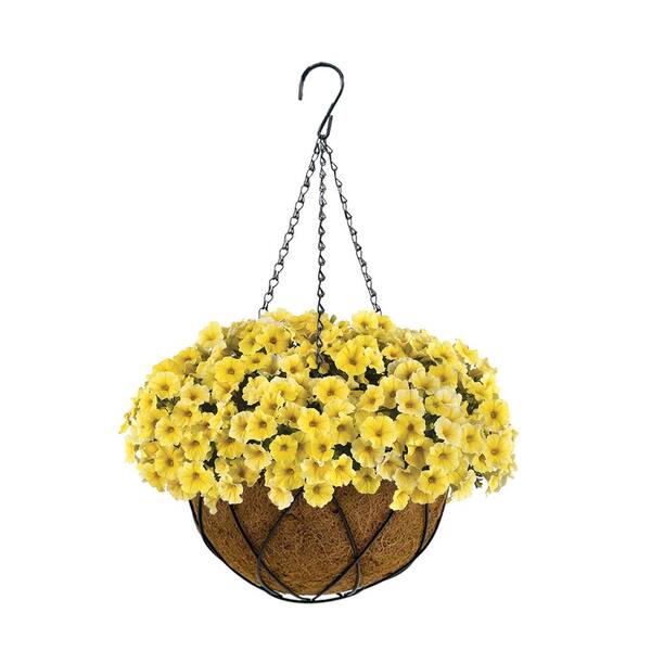 Metal Premium Hanging Planter Basket  with Coco Liner
