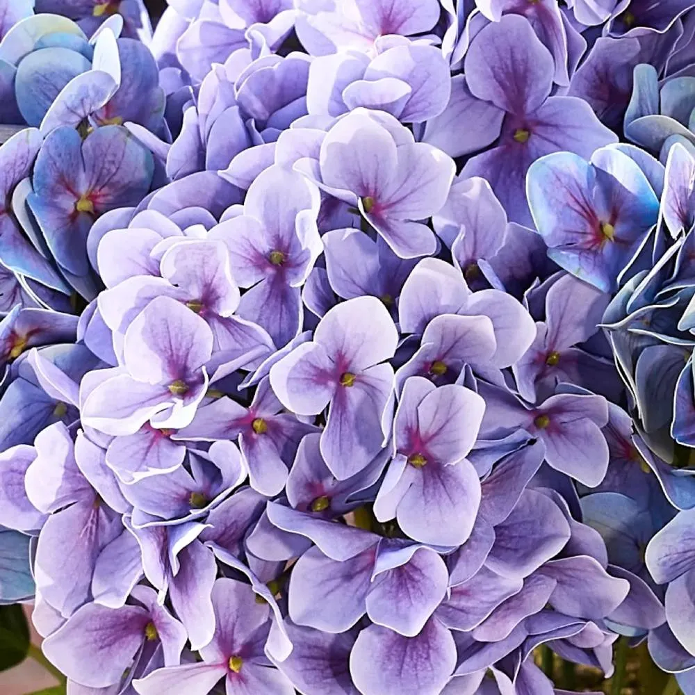💥Last Day 70% OFF💐Artificial Outdoor Hydrangea Flowers - UV resistant, Waterproof, Windproof