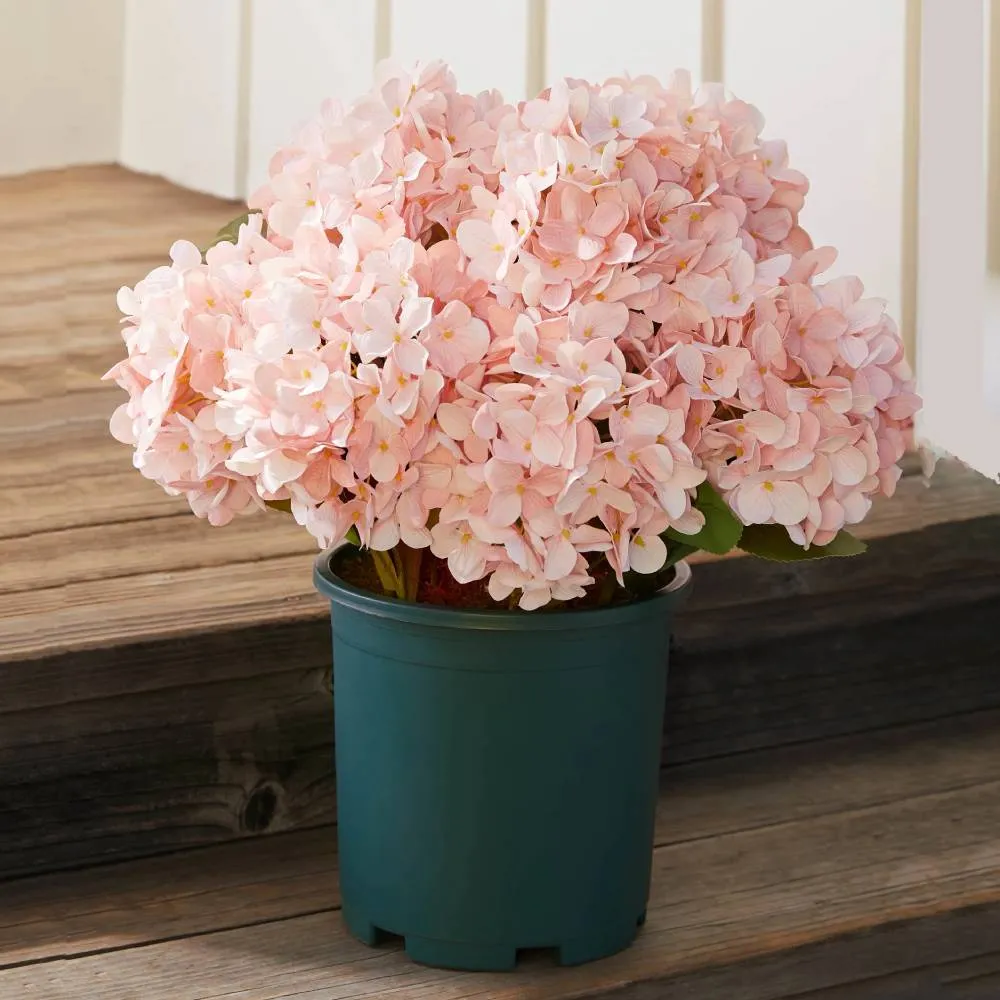 💥Last Day 70% OFF💐Artificial Outdoor Hydrangea Flowers - UV resistant, Waterproof, Windproof