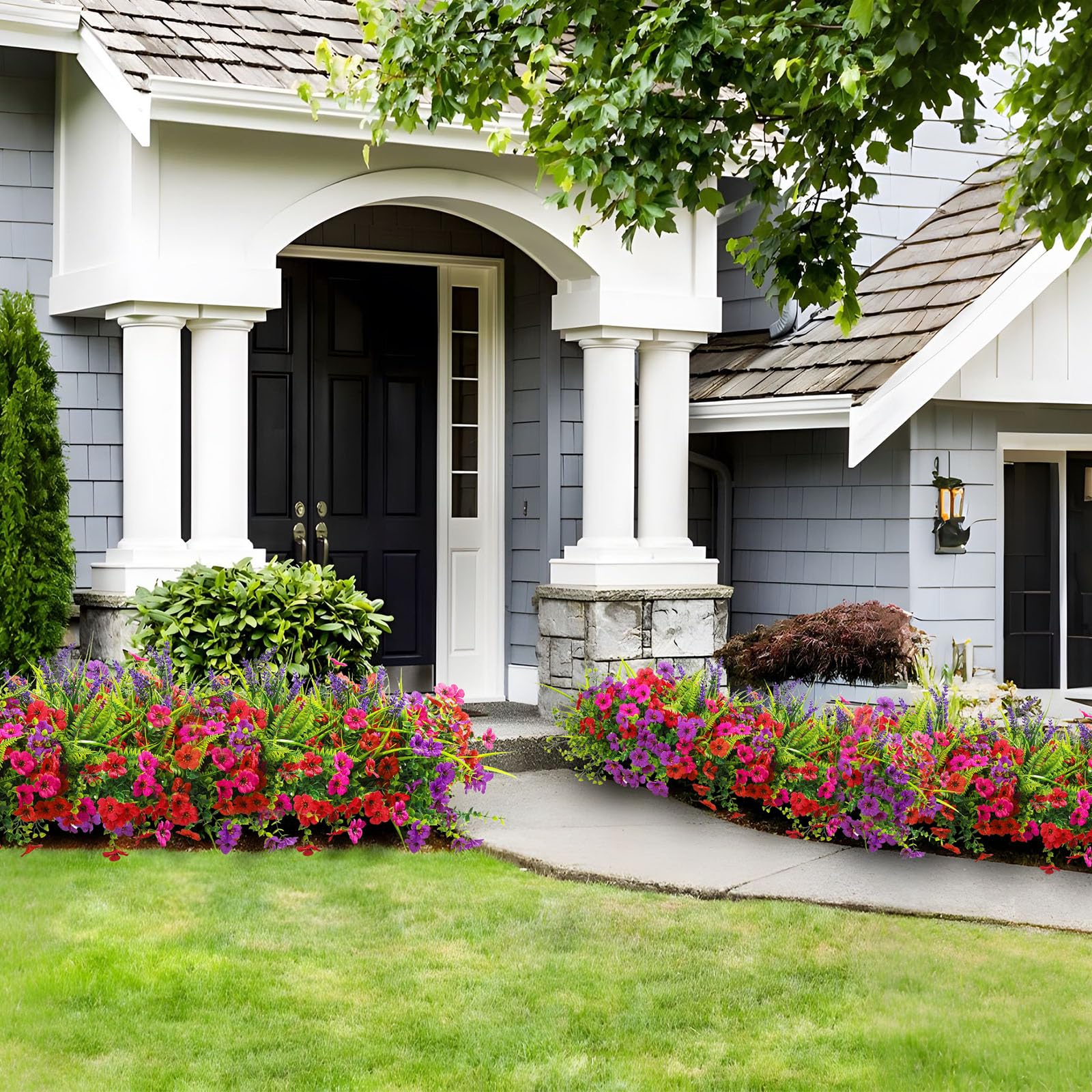 Outdoor Premium Flowers and Plants