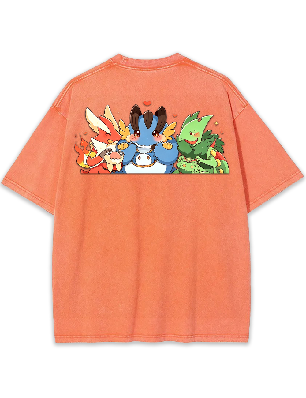 Parent & Kid Blaziken Mudkip Sceptile Hoodie Style Vintage Washed T-Shirt