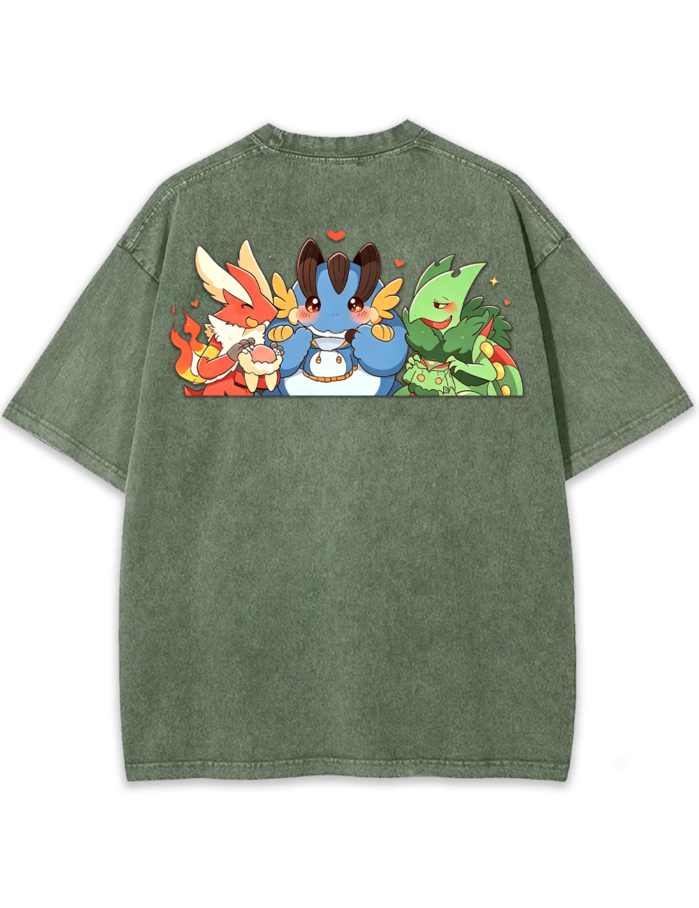 Parent & Kid Blaziken Mudkip Sceptile Hoodie Style Vintage Washed T-Shirt