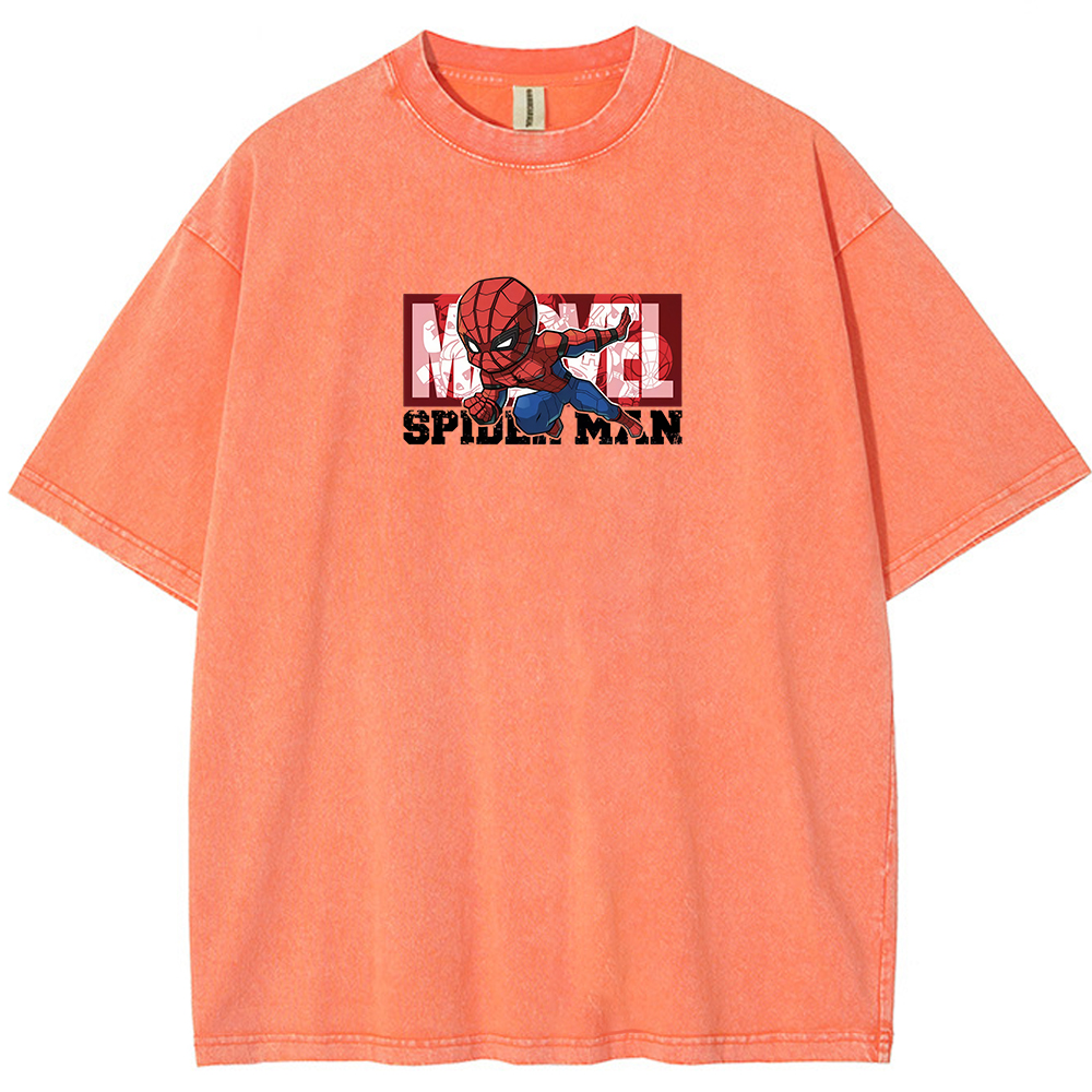 Double Sided Print Spider Skater Vintage Washed