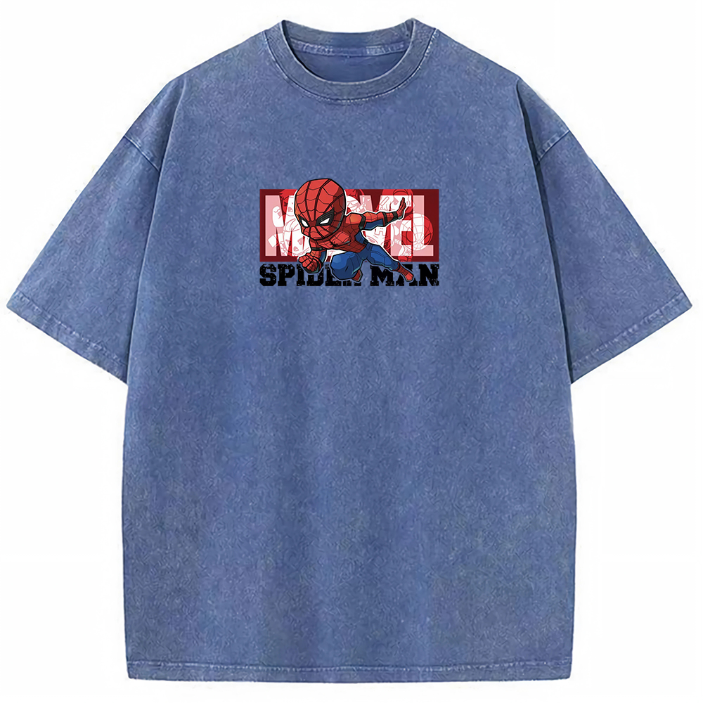 Double Sided Print Spider Skater Vintage Washed