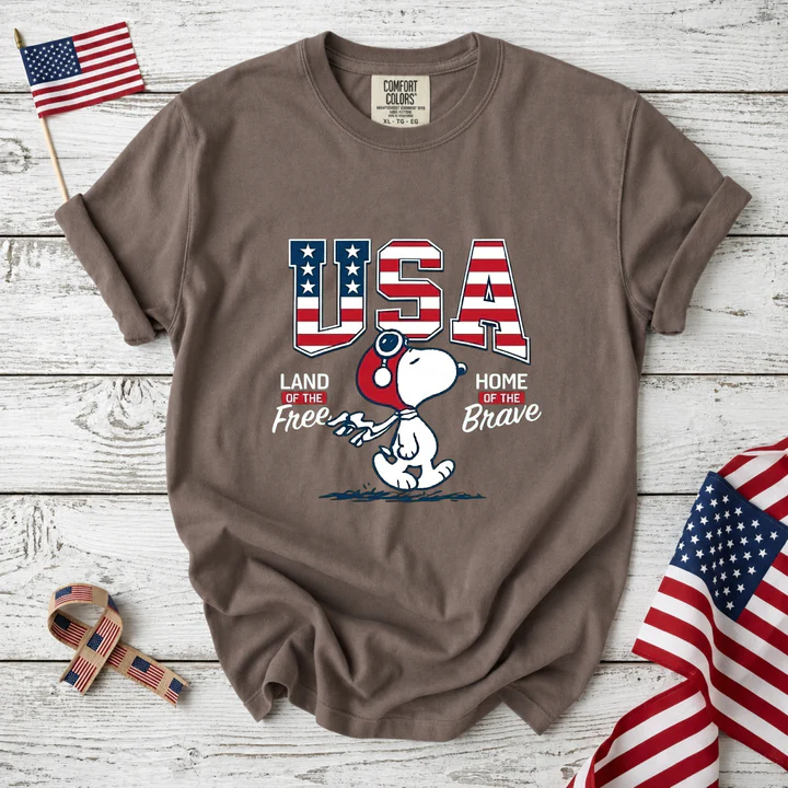 USA Land Of The Free T-Shirt