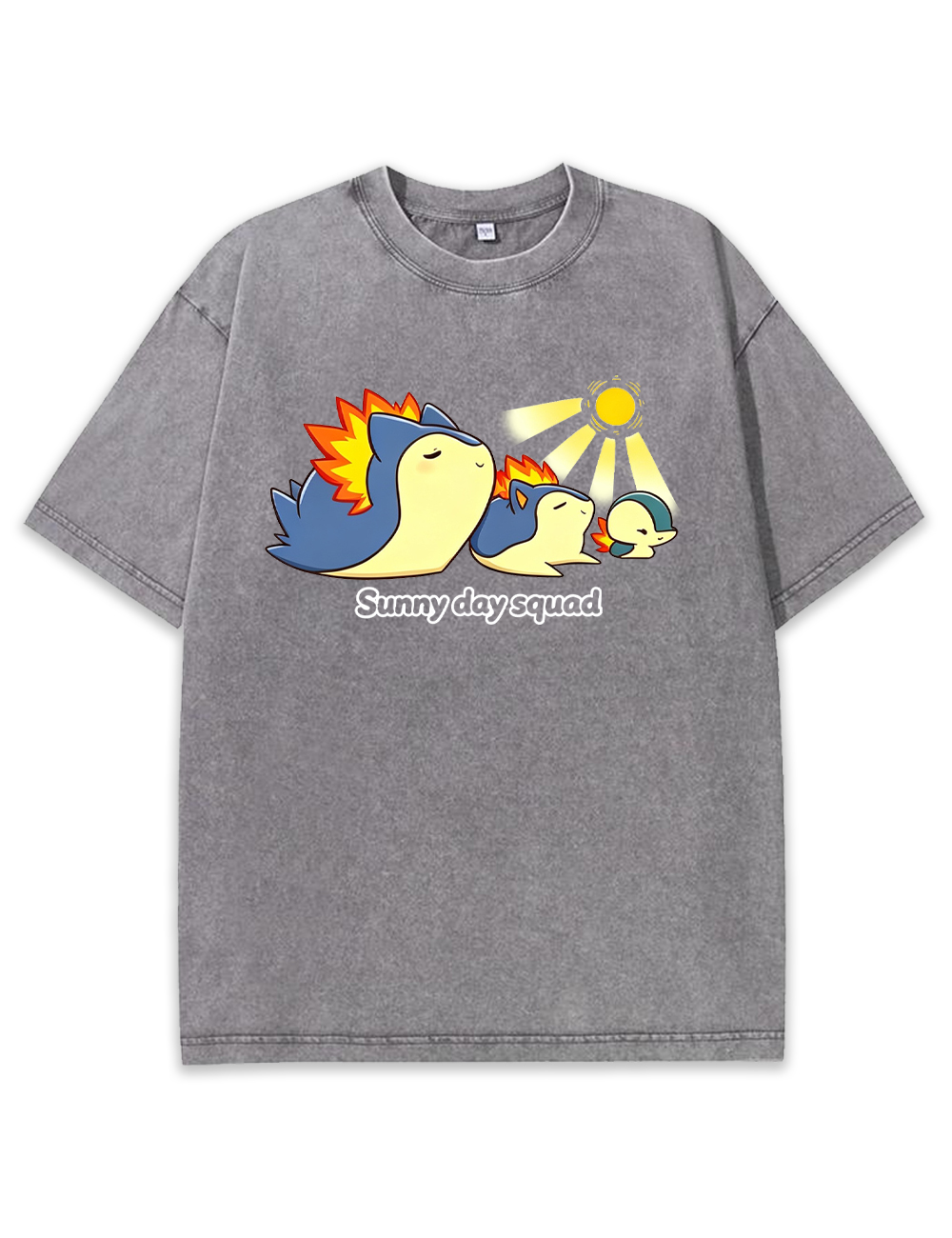 Parent & Kid Typhlosion Sunny Day Squad Vintage Washed T-Shirt