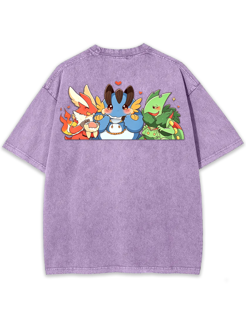 Parent & Kid Blaziken Mudkip Sceptile Hoodie Style Vintage Washed T-Shirt