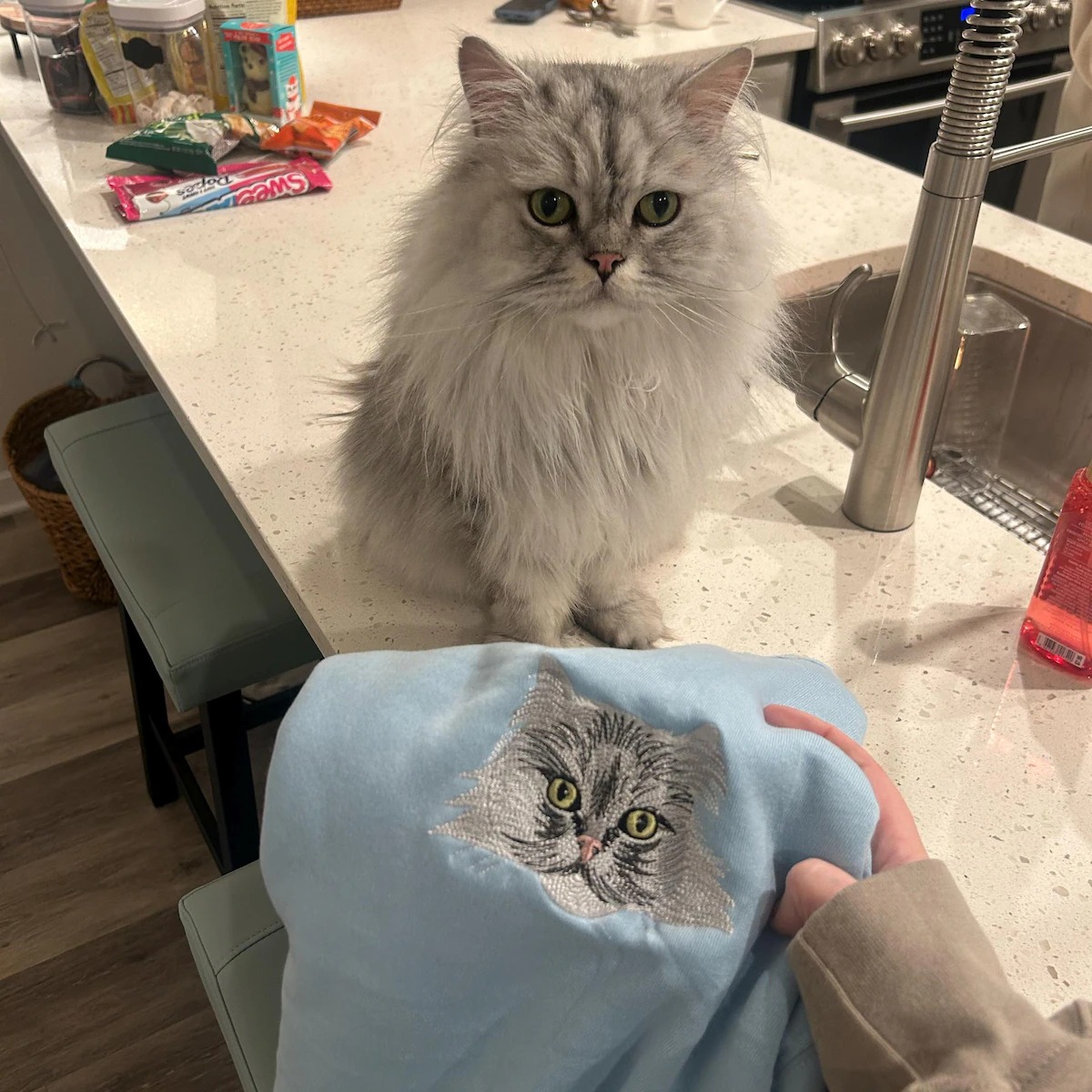 Custom Dog Face 2 Embroidered Sweatshirt-Gift For Custom