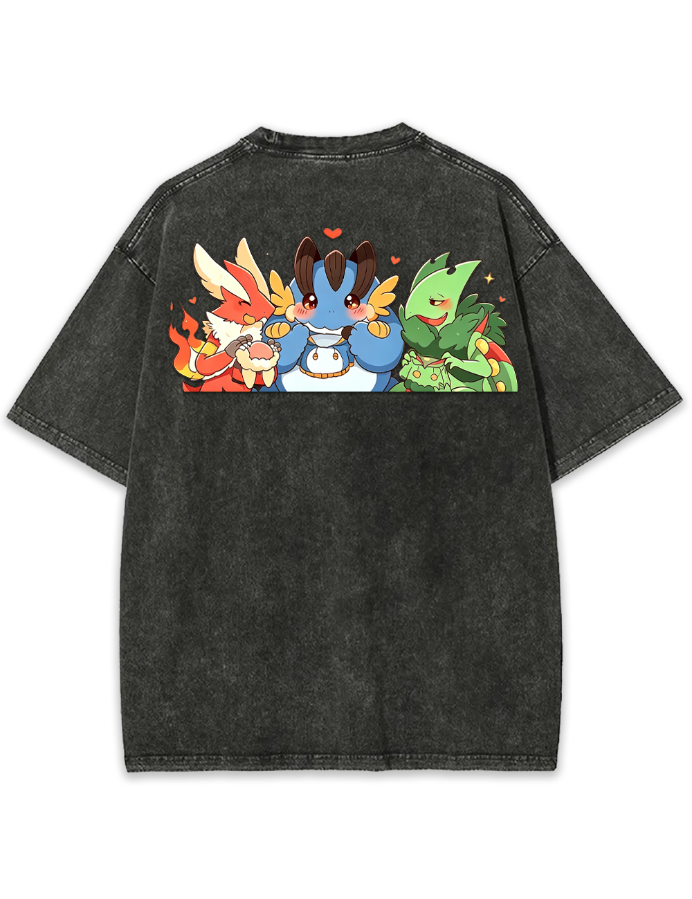 Parent & Kid Blaziken Mudkip Sceptile Hoodie Style Vintage Washed T-Shirt