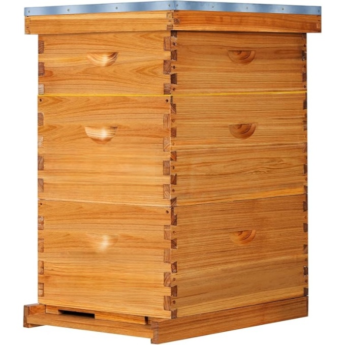 10 Frame Langstroth Bee HiveCoated with Beeswax Includes BeehiveFrames and Waxed Foundations (2 Deep Boxes & 1 Medium Box)