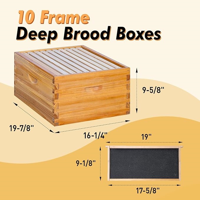 10 Frame Langstroth Bee HiveCoated with Beeswax Includes BeehiveFrames and Waxed Foundations (2 Deep Boxes & 1 Medium Box)