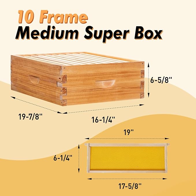 10 Frame Langstroth Bee HiveCoated with Beeswax Includes BeehiveFrames and Waxed Foundations (2 Deep Boxes & 1 Medium Box)