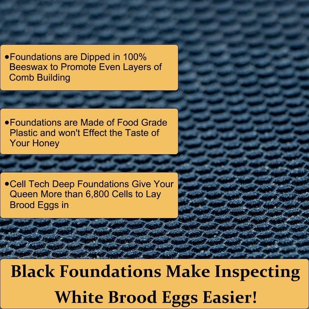 10 Frame Langstroth Bee HiveCoated with Beeswax Includes BeehiveFrames and Waxed Foundations (2 Deep Boxes & 1 Medium Box)