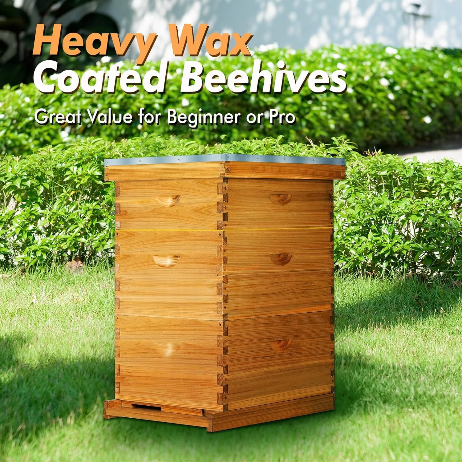 10 Frame Langstroth Bee HiveCoated with Beeswax Includes BeehiveFrames and Waxed Foundations (2 Deep Boxes & 1 Medium Box)