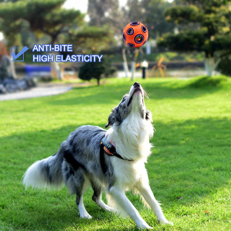 Sounding and Glowing Interactive Toys Dog Balls