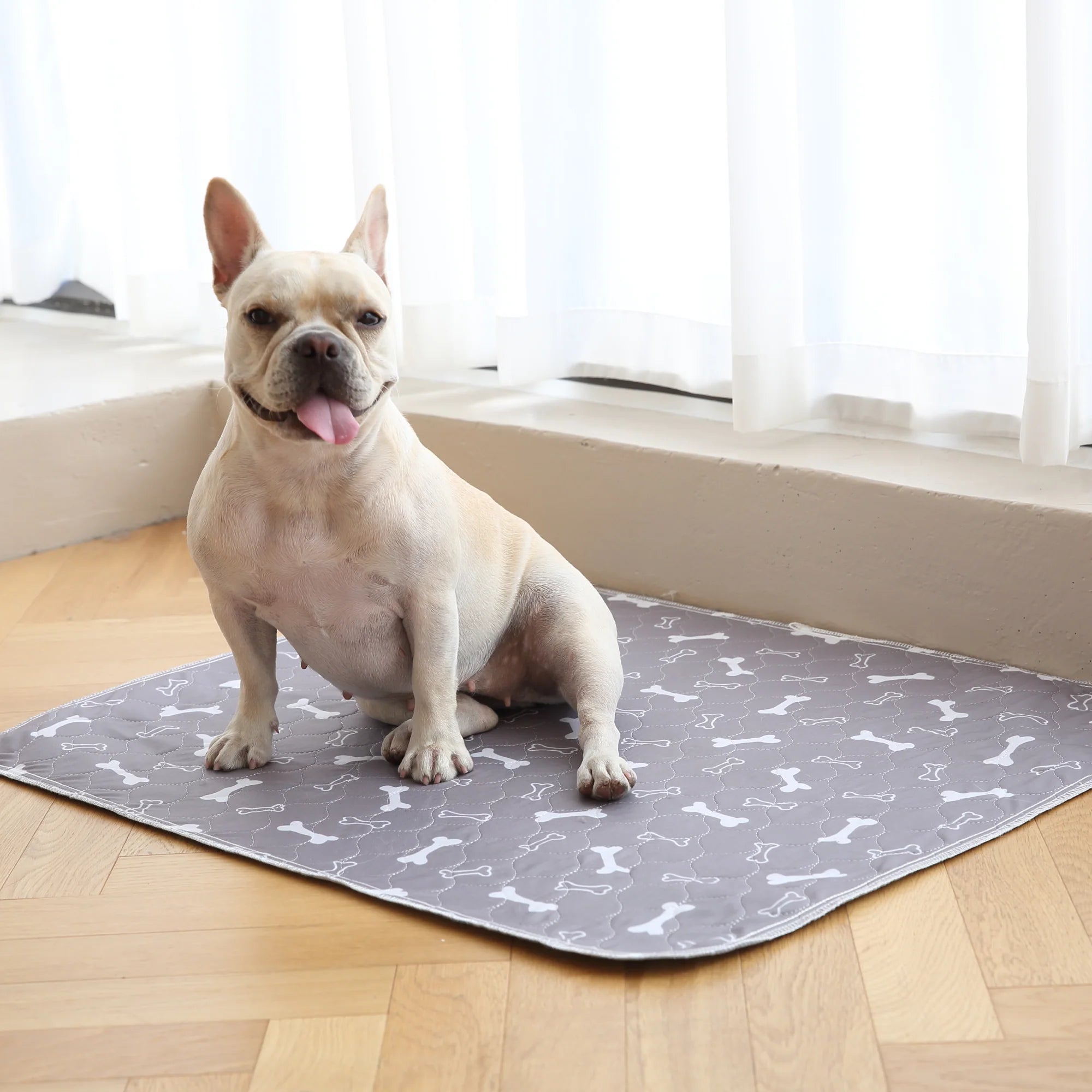 6 Puppy Pads