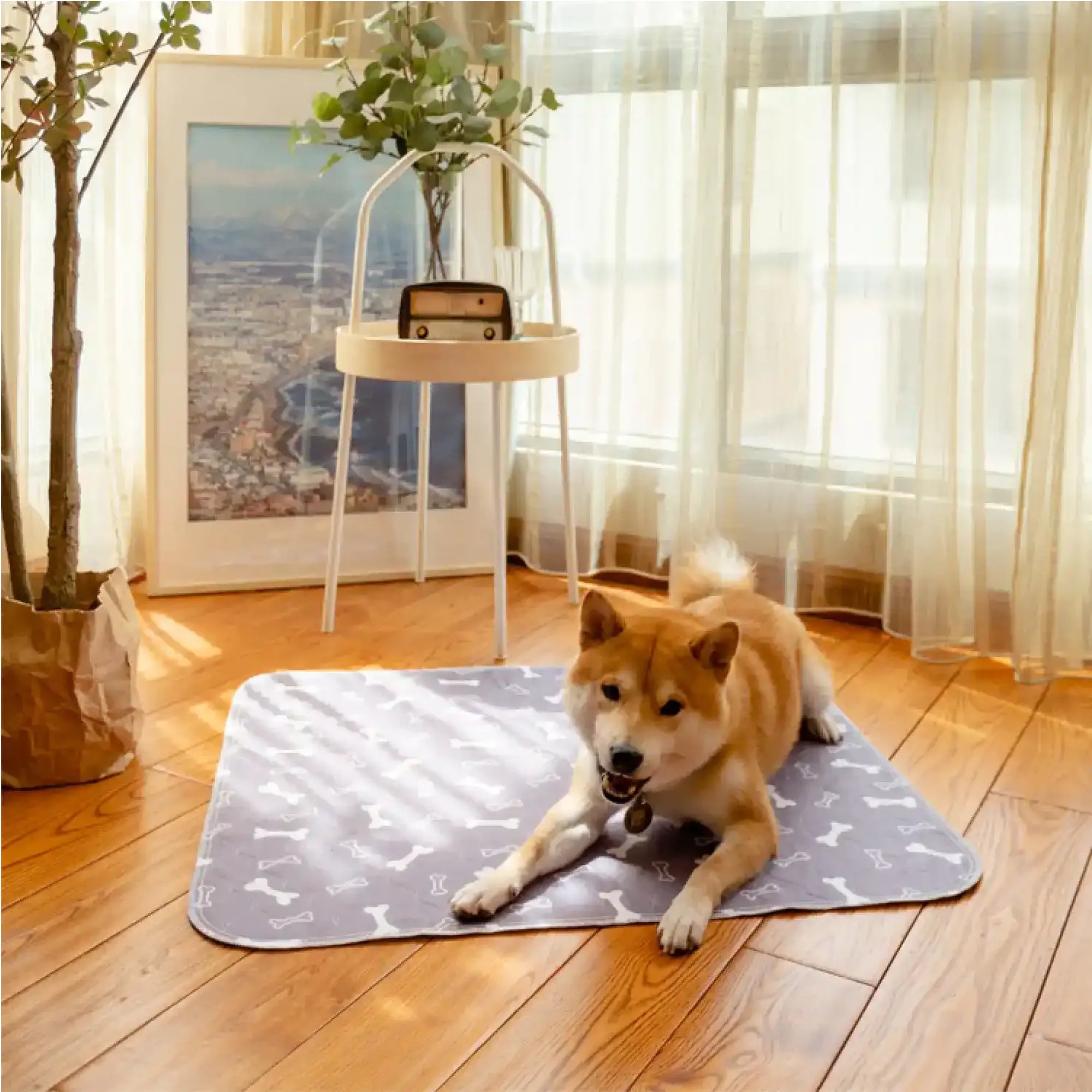 6 Puppy Pads