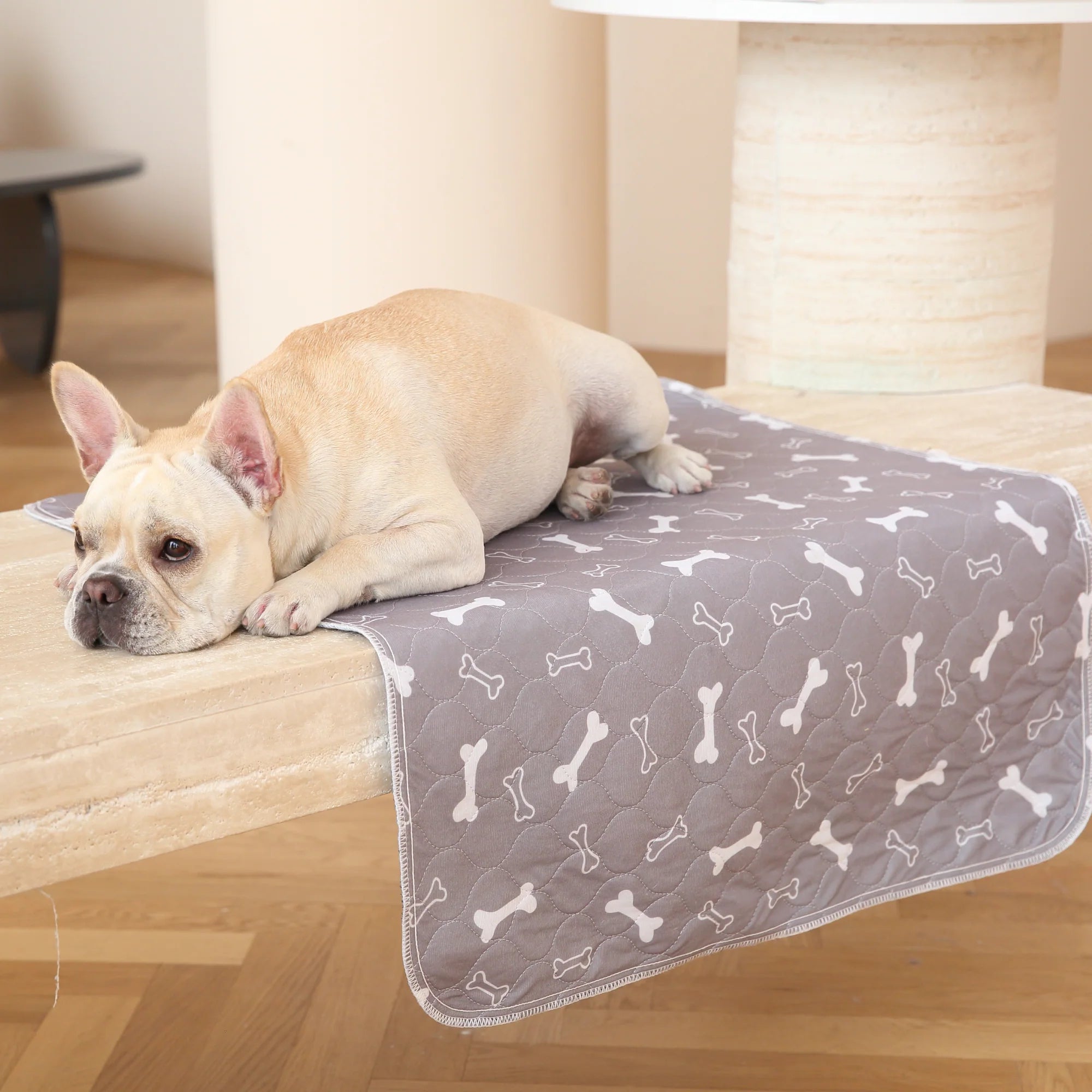 6 Puppy Pads