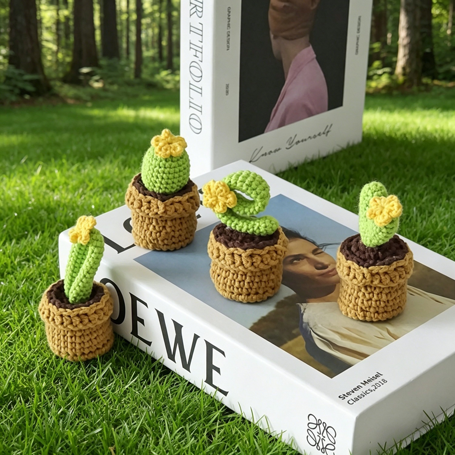 Succulent Crochet Kit for Beginners | DIY Crochet Plant Set with Yarn, Hook & Step-by-Step Video Tutorial | Cute Succulents Collection Hookcrafted