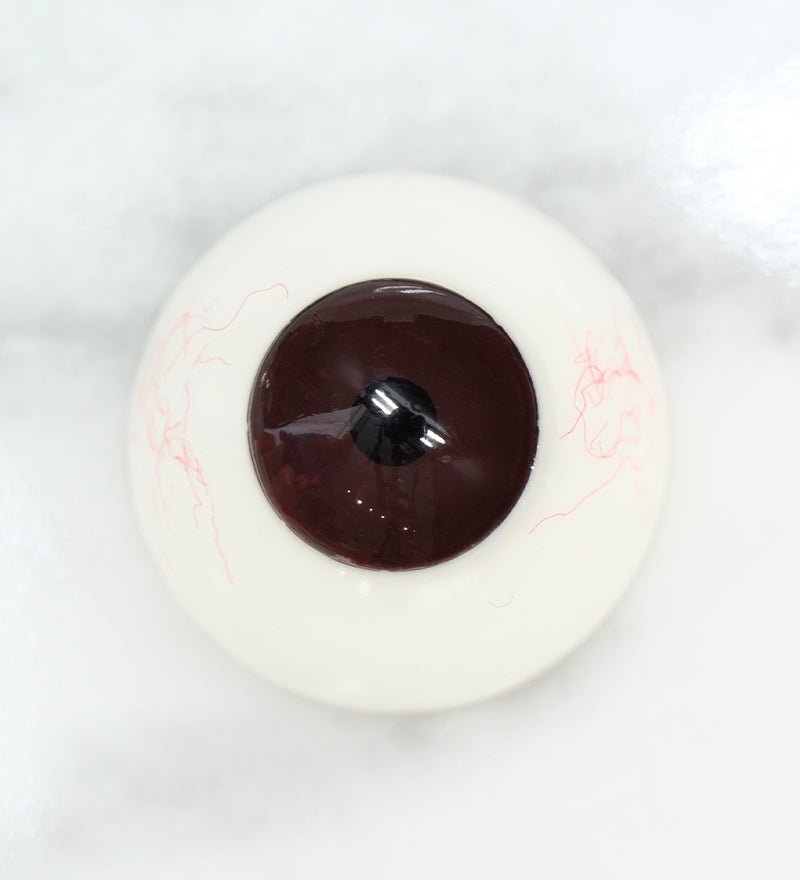 Dark eye without Uris Popillon Brown