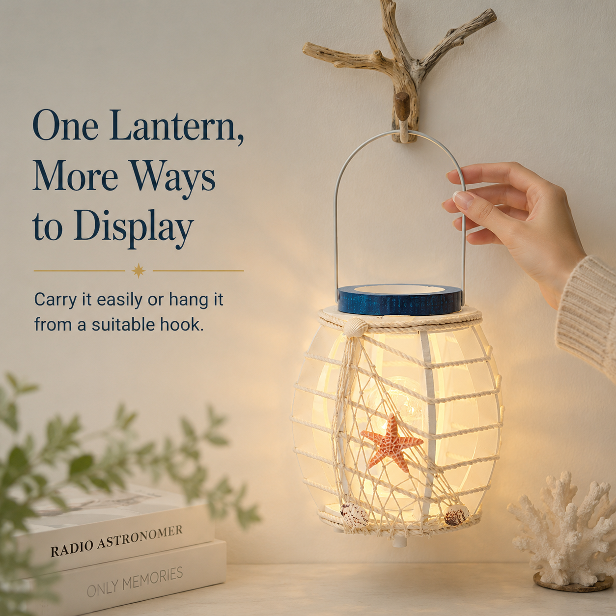 Coastal Seashell LED Lantern
