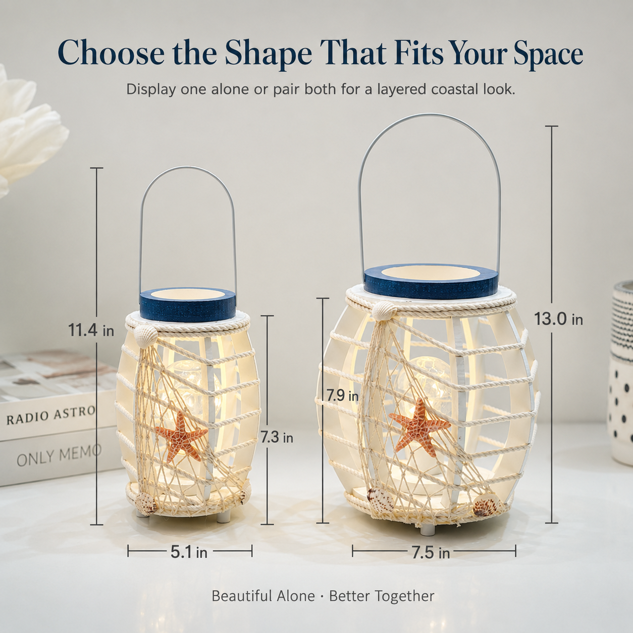 Coastal Seashell LED Lantern