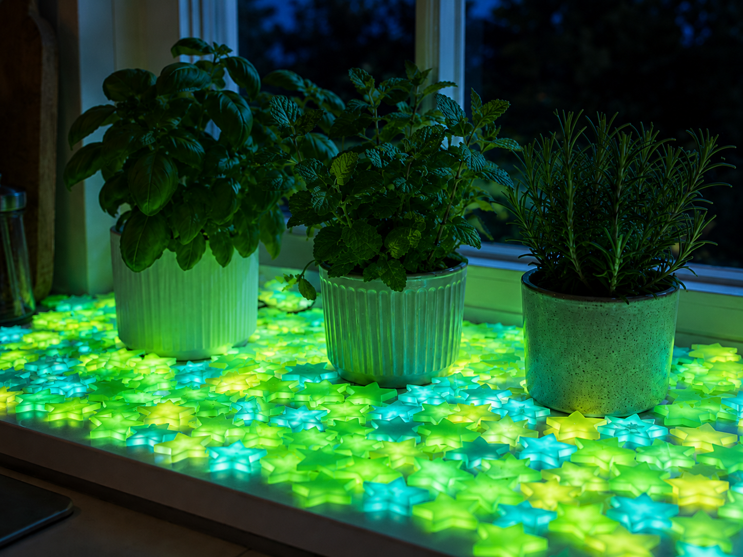 Star Seeds – A Little Night Sky That Blooms After Dark
