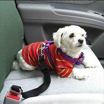 Pet Adjustable Safety Belt (6 Colors Available)