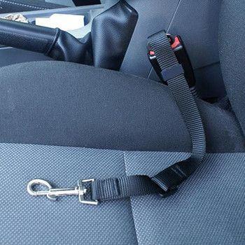 Pet Adjustable Safety Belt (6 Colors Available)