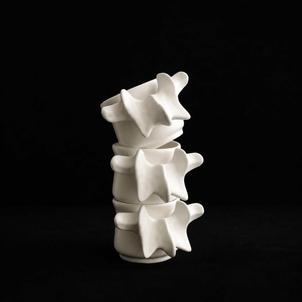 Spine Bone Ceramic Mug & Teacup