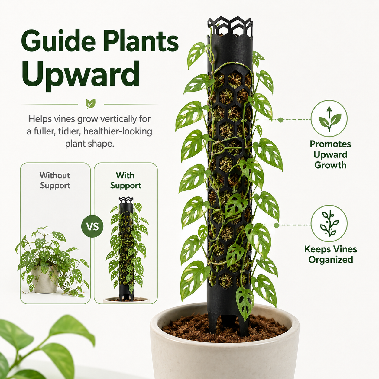 Honeycomb Moss Pole Plant Support Stake