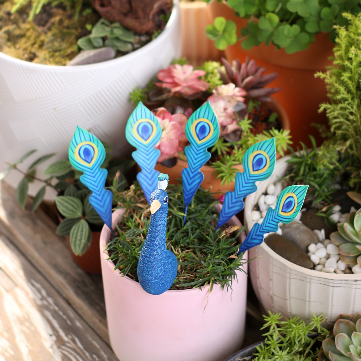 6-Piece Peacock Plant Pot Decorations, Mini Peacock Garden Stakes with Feather Picks for Potted Plants, Succulent Planters, Fairy Gardens, Indoor & Outdoor Patio Decor