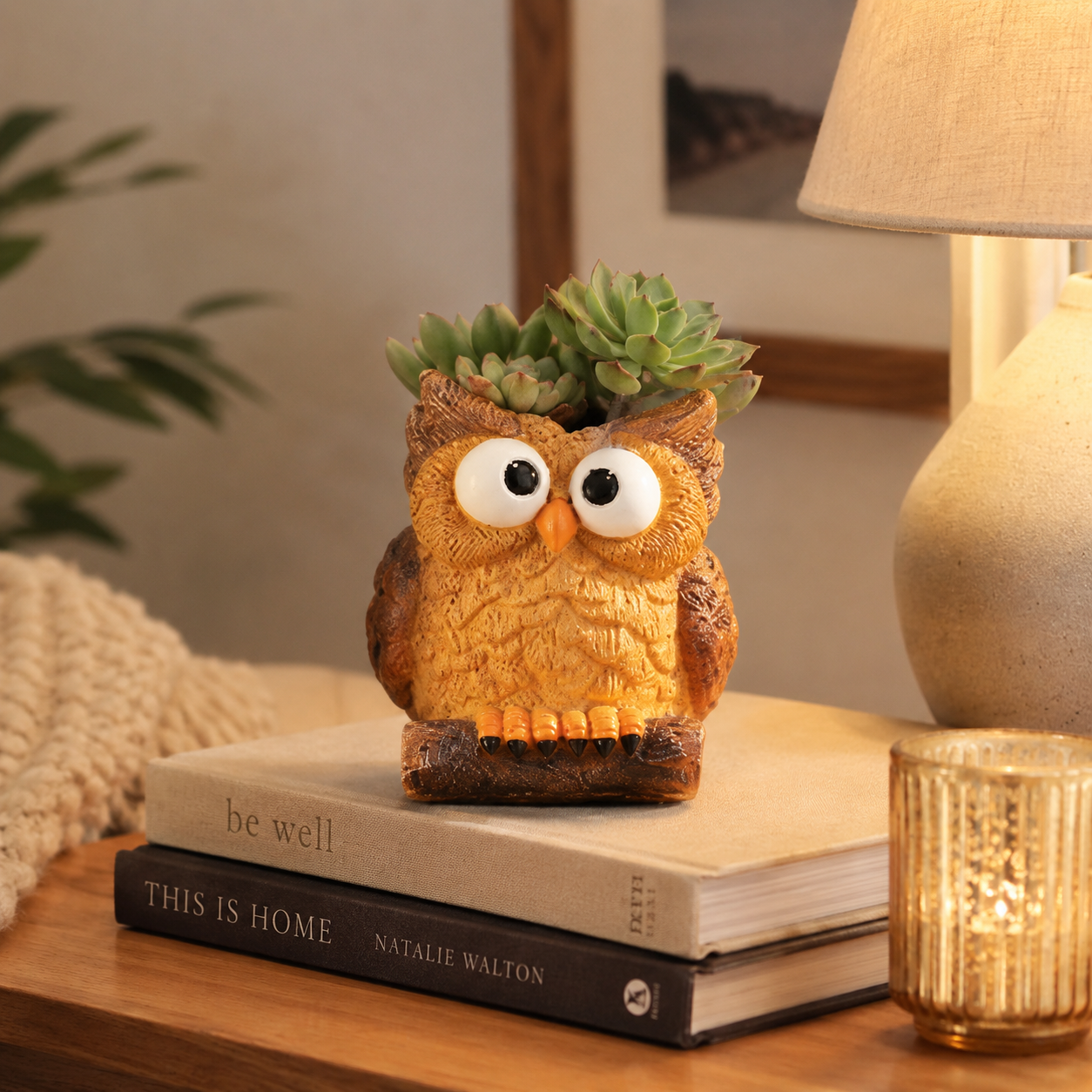 🦉 Owl Succulent Planters