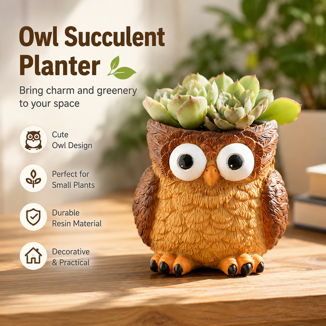 🦉 Owl Succulent Planters
