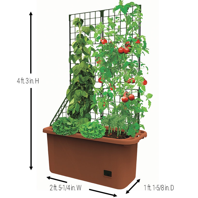  Vegetable Planter With Wheels And Trellis - 58 Inch Self Watering Vegetable Planter With Wheels And Trellis - 58 Inch Self Watering Vegetable Planter With Wheels And Trellis - 58 Inch Self Watering Vegetable Planter With Wheels And Trellis - 58 Inch Self