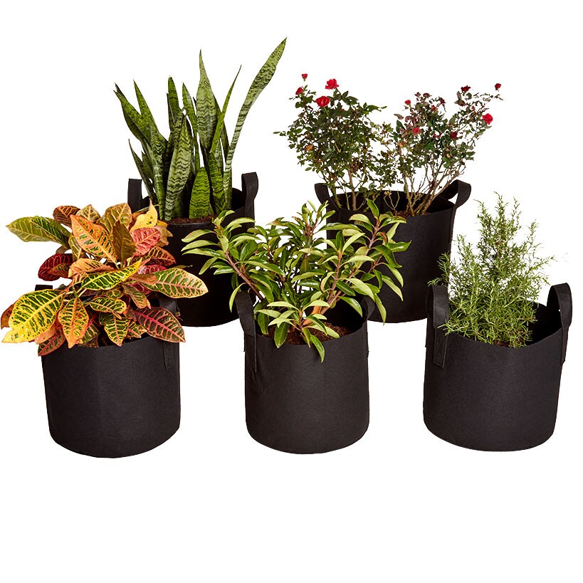 Grow Bags Set Of 5 With Built In Handles