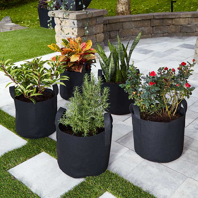 Grow Bags Set Of 5 With Built In Handles