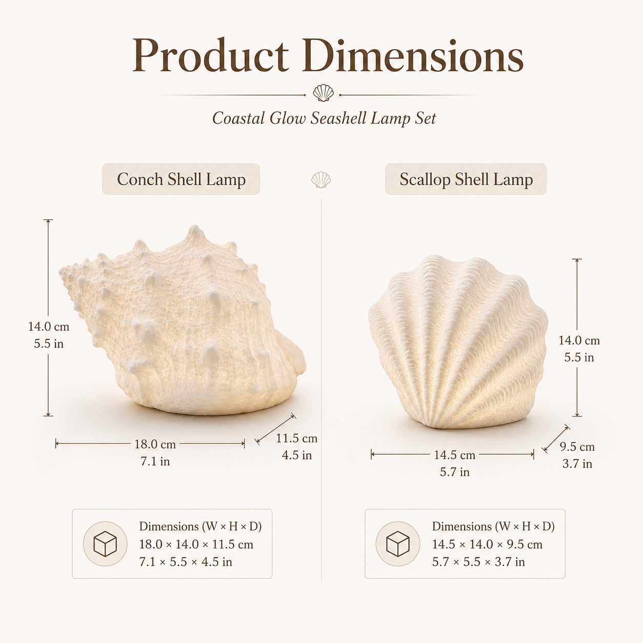 Coastal Glow Seashell Lamp Set
