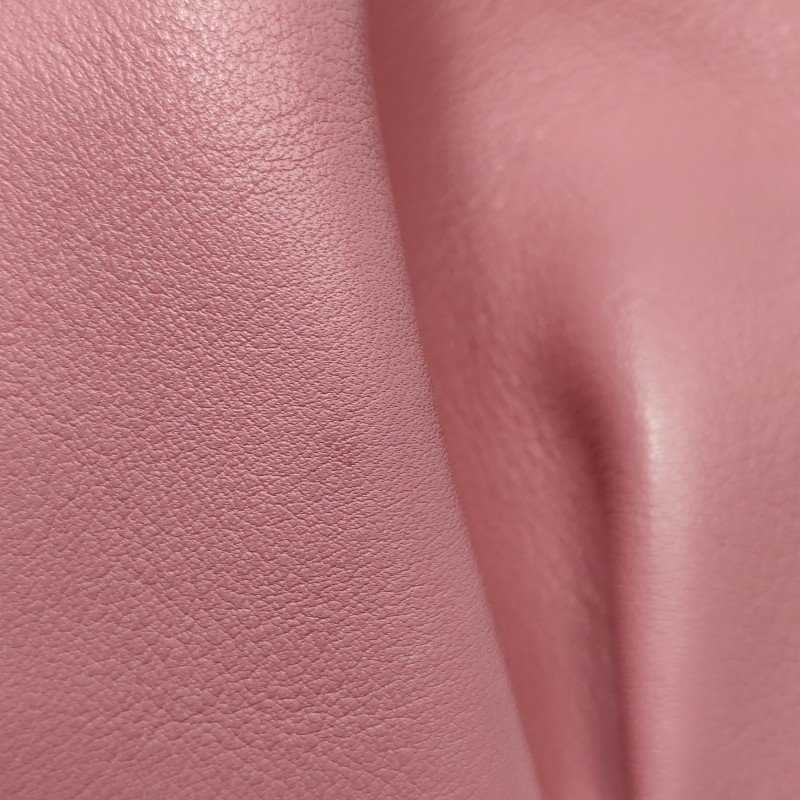 goshare2-200d965d.jpg
